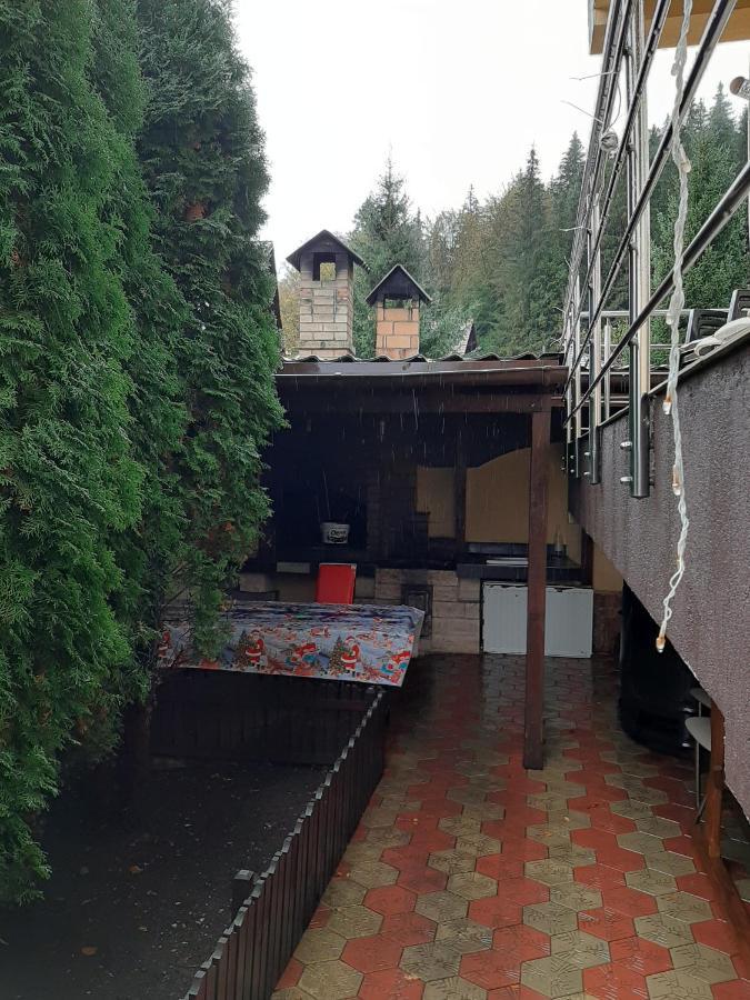 Hotel Vila Dolly Buşteni Exterior foto